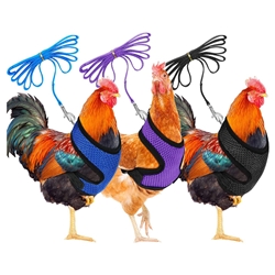 3 Piece Adjustable Chicken Harness with Leash