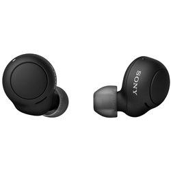 Sony Truly Wireless In-Ear Bluetooth Earbuds